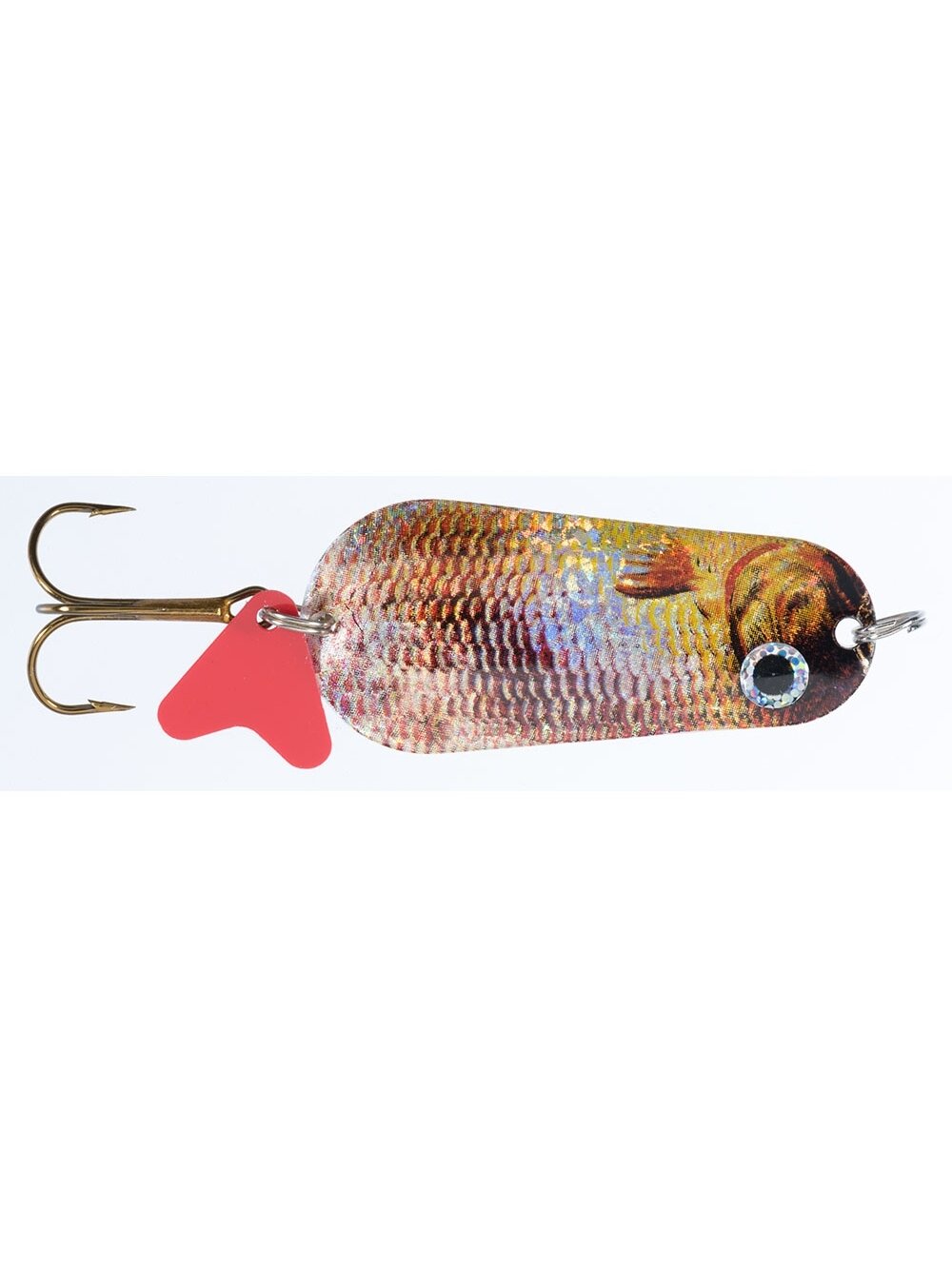 Blizgė Jaxon HOLO SELECT Flex Gnom Scot E 20g / 26g / 40g, Blizgė Jaxon HOLO SELECT Flex Gnom Scot E 20g / 26g / 40g,