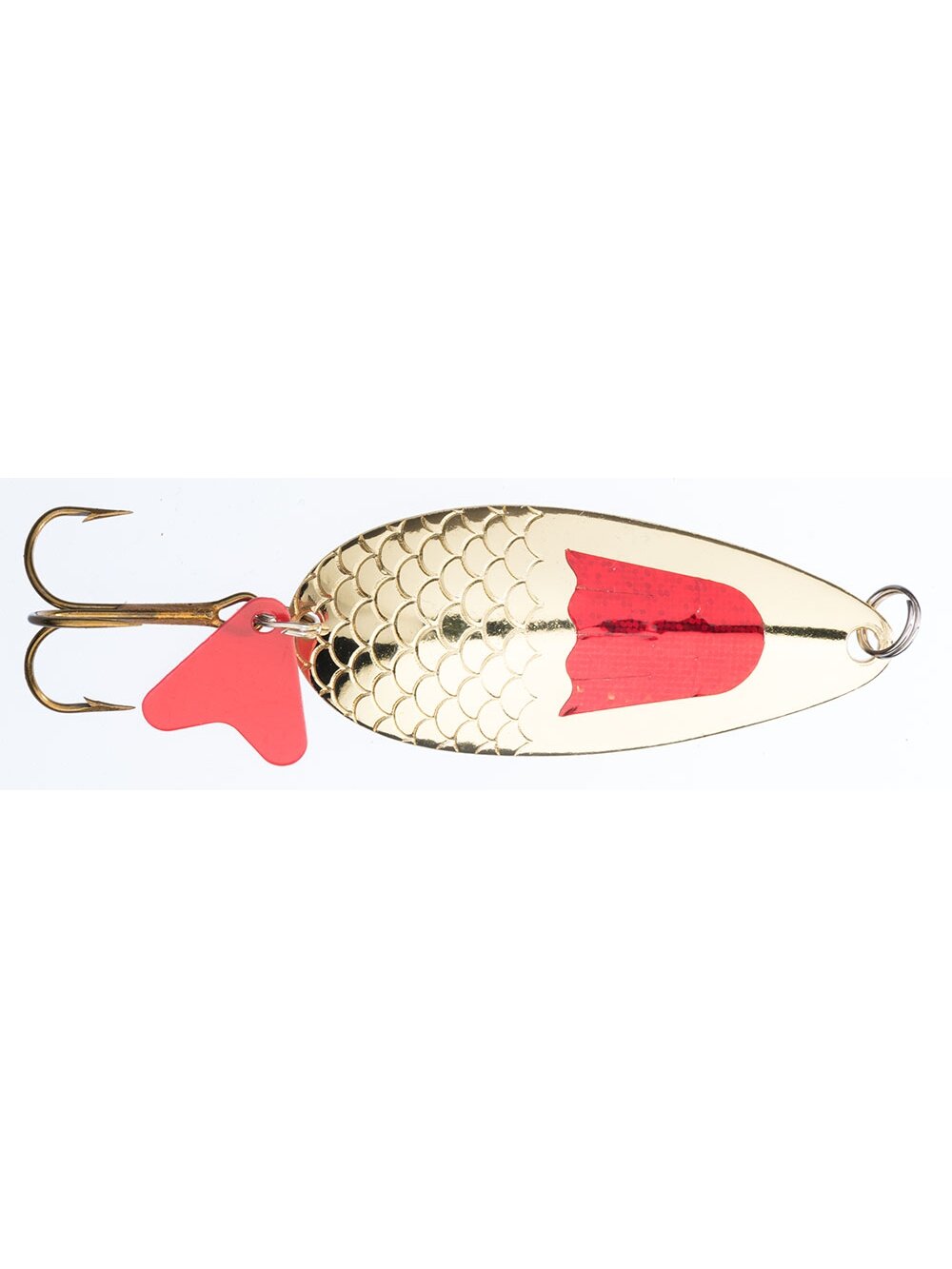 Blizgė Jaxon HOLO SELECT Karaś Blask G 16g / 18g / 24g, 1
