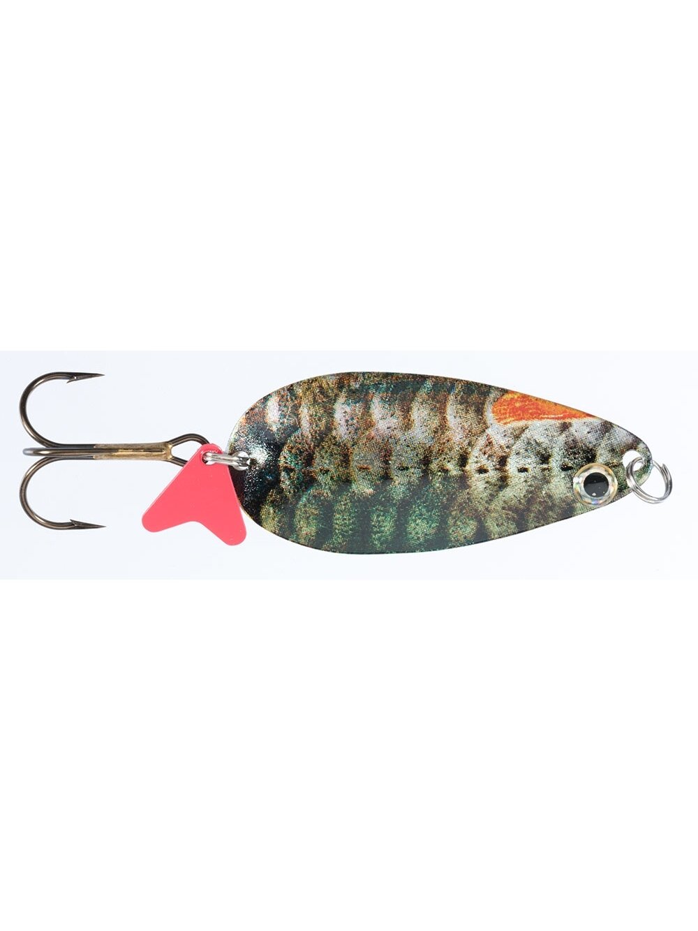 Blizgė Jaxon HOLO SELECT Karaś Krol J 16g / 18g / 24g, 1 Blizgė Jaxon HOLO SELECT Karaś Krol J 16g / 18g / 24g, 1