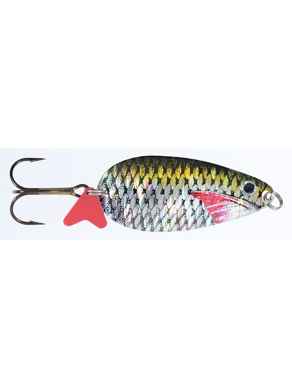 Blizgė Jaxon HOLO SELECT Karaś Scot D 16g / 18g / 24g, 1