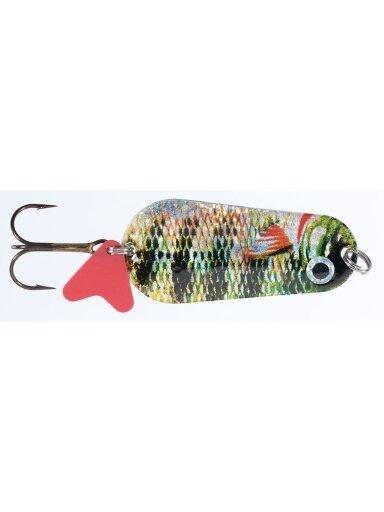Blizgė Jaxon HOLO SELECT Flex Gnom Scot P 20g / 26g / 40g,