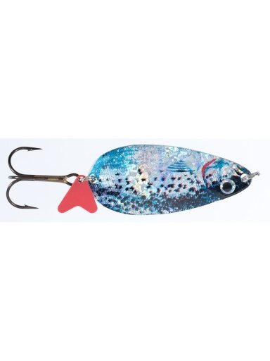 Blizgė Jaxon HOLO SELECT Karaś Scot A 16g / 18g / 24g, 1