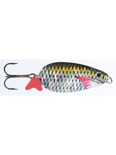 Blizgė Jaxon HOLO SELECT Karaś Scot D 16g / 18g / 24g, 1