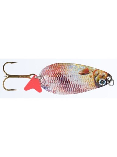 Blizgė Jaxon HOLO SELECT Karaś Scot E 16g / 18g / 24g, 1