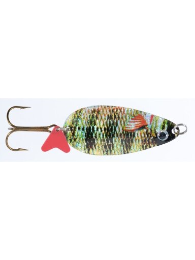 Blizgė Jaxon HOLO SELECT Karaś Scot P 16g / 18g / 24g, 1