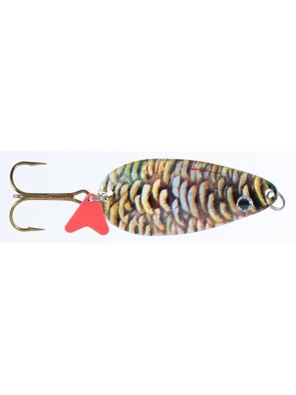Blizgė Jaxon HOLO SELECT Karaś Krol A 16g / 18g / 24g, 1 Blizgė Jaxon HOLO SELECT Karaś Krol A 16g / 18g / 24g, 1