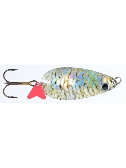 Blizgė Jaxon HOLO SELECT Karaś Krol B 16g / 18g / 24g, 1 Blizgė Jaxon HOLO SELECT Karaś Krol B 16g / 18g / 24g, 1