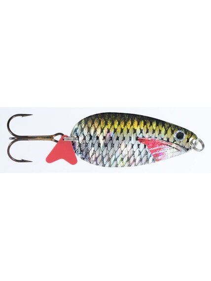Blizgė Jaxon HOLO SELECT Karaś Scot D 16g / 18g / 24g, 1 Blizgė Jaxon HOLO SELECT Karaś Scot D 16g / 18g / 24g, 1
