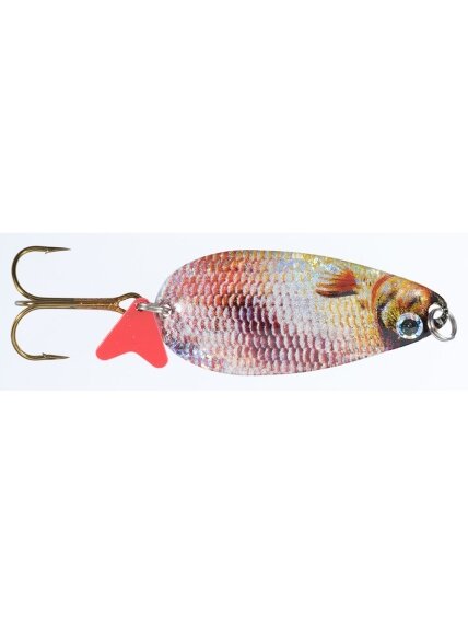 Blizgė Jaxon HOLO SELECT Karaś Scot E 16g / 18g / 24g, 1 Blizgė Jaxon HOLO SELECT Karaś Scot E 16g / 18g / 24g, 1
