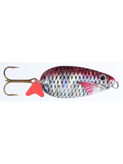 Blizgė Jaxon HOLO SELECT Karaś Scot K 16g / 18g / 24g, 1 Blizgė Jaxon HOLO SELECT Karaś Scot K 16g / 18g / 24g, 1