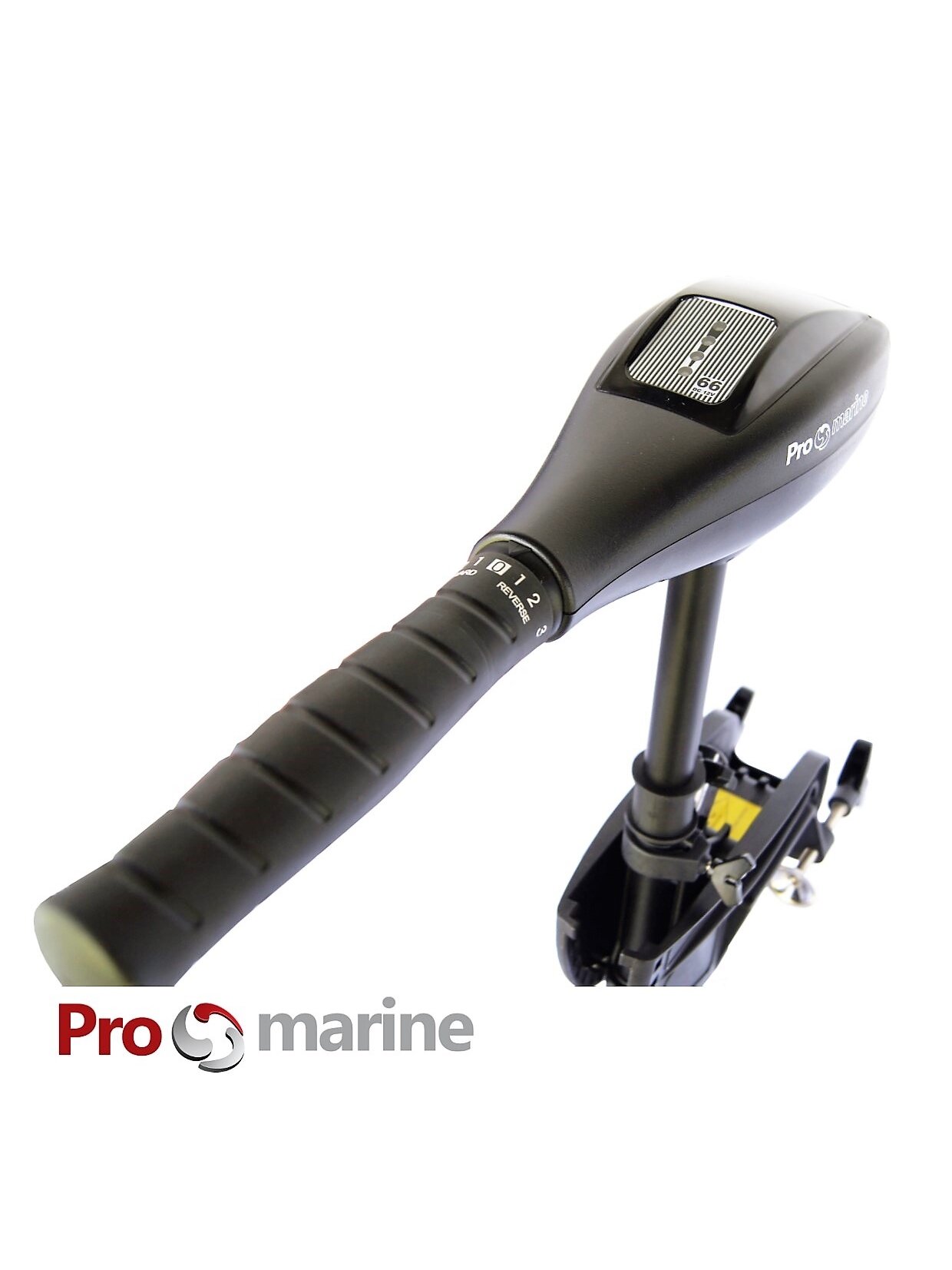 Elektrinis valties variklis ProMarine P 48LBS 1