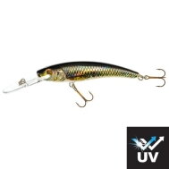 Jaxon Diver UV F