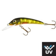 JAXON Ferox UV F