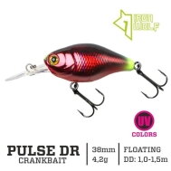 Iron Wolf „PULSE DR“