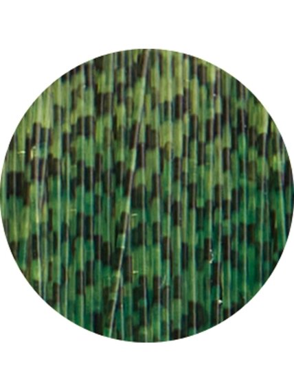 Valas Jaxon Feeder Fanatics 3D 150m; 1vnt 1 Valas Jaxon Feeder Fanatics 3D 150m; 1vnt 1