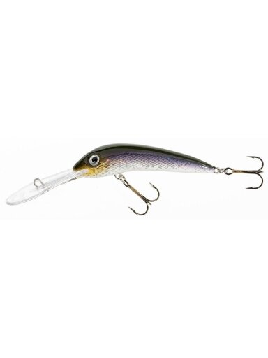 Vobleris HOLO SELECT Ferox DR E / 8cm, 10cm