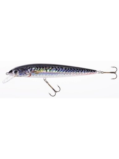 Vobleris HOLO SELECT Fish Max U / 21cm, 25cm