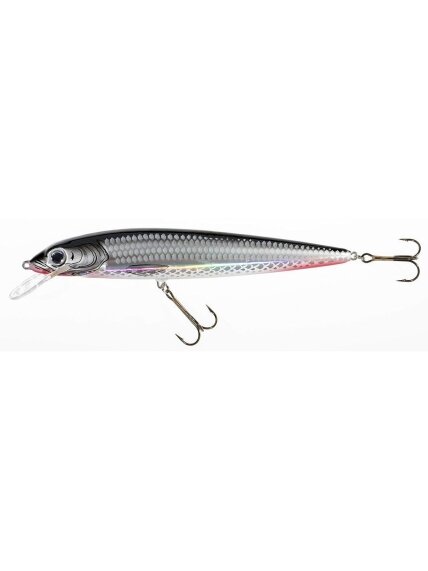 Vobleris HOLO SELECT Fish Max SC / 21cm, 25cm Vobleris HOLO SELECT Fish Max SC / 21cm, 25cm