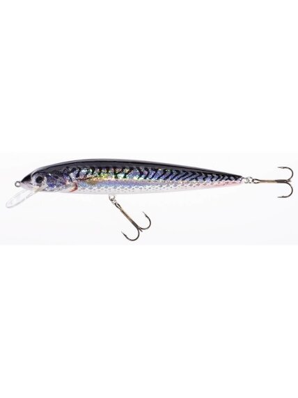 Vobleris HOLO SELECT Fish Max U / 21cm, 25cm Vobleris HOLO SELECT Fish Max U / 21cm, 25cm